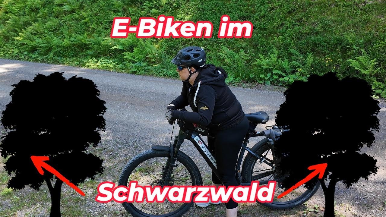 E-Biken im Schwarzwald Hoch hinaus- Rinken-Feldsee-Schluchsee #ebike #Feldsee #schwarzwald