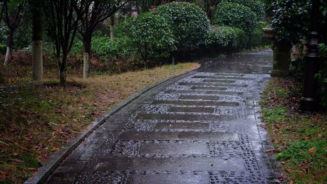 🌧️ Walking in the Rain 🌙 Solitary Park Atmosphere for Stress Relief