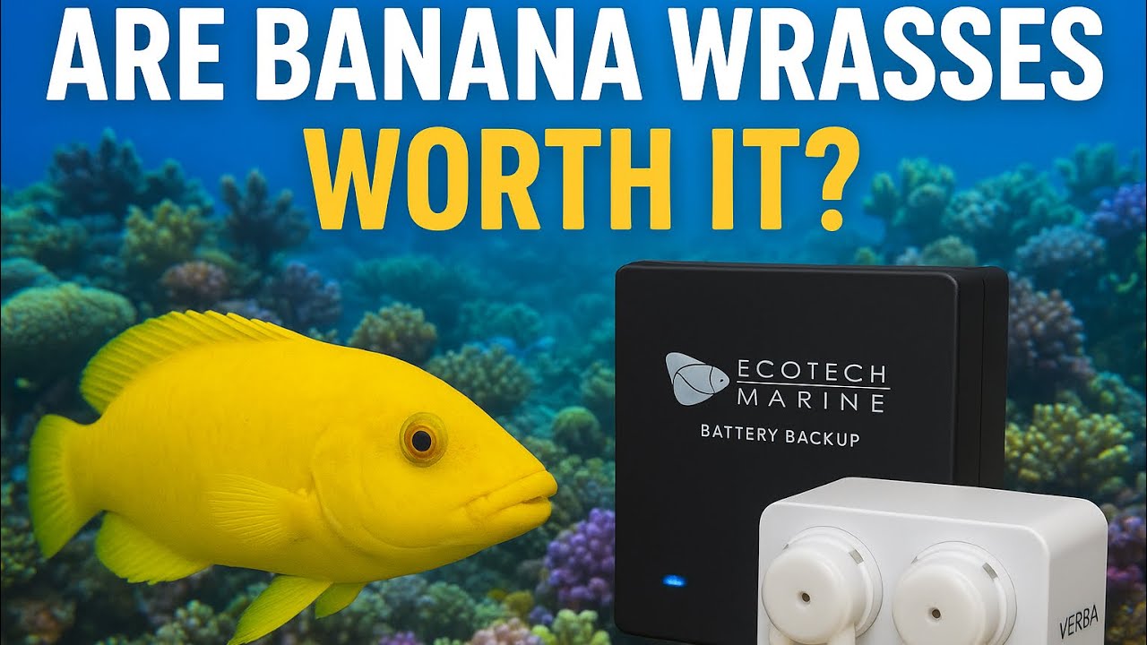 New Ecotech Gear & Livestock | Gc Refer 