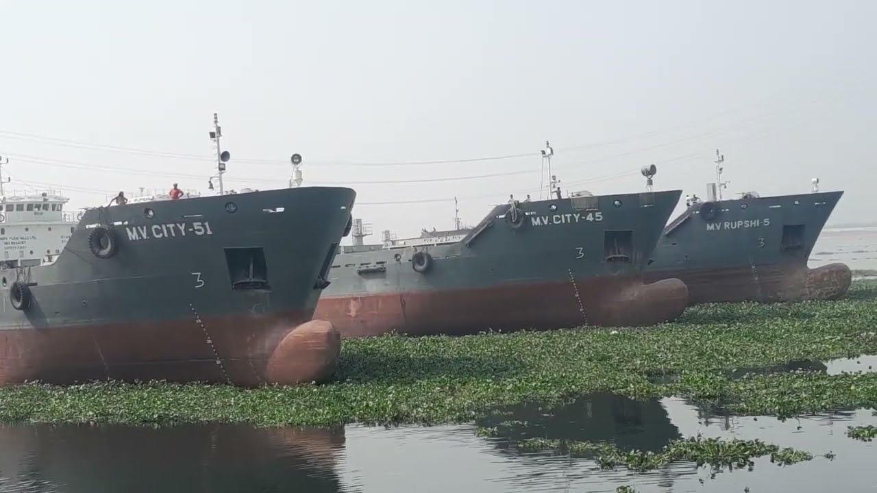 Huge IMO Cargo Ship Sailing Through the Meghna River | Stunning River Traffic