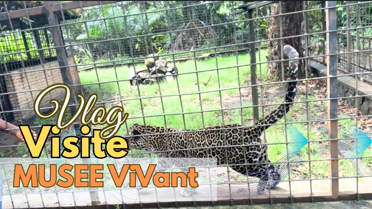 Vlog Burundi 🇧🇮 : Musée Vivant de Bujumbura… Voici Ce Que J’ai Vu !