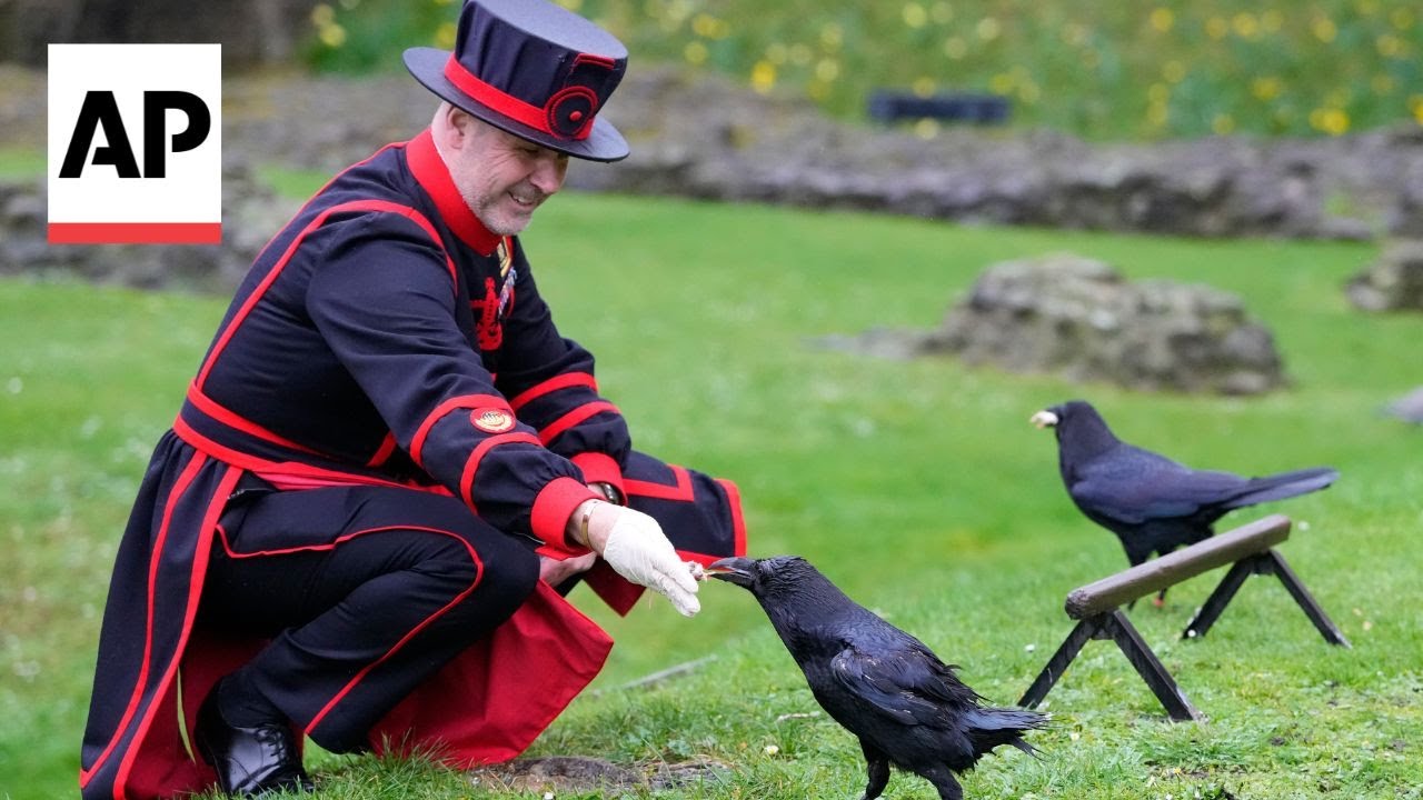 Meet the Tower of London's new ravenmaster