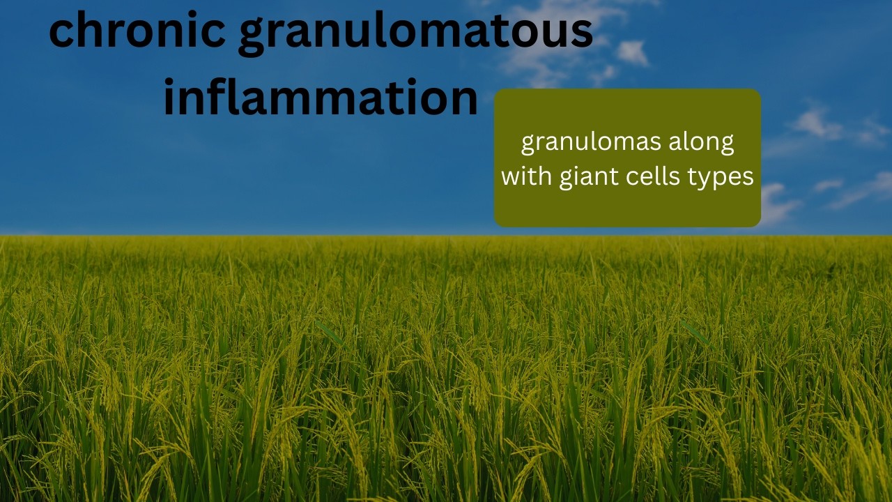 interleukins types plus chronic inflammation explained clearly
