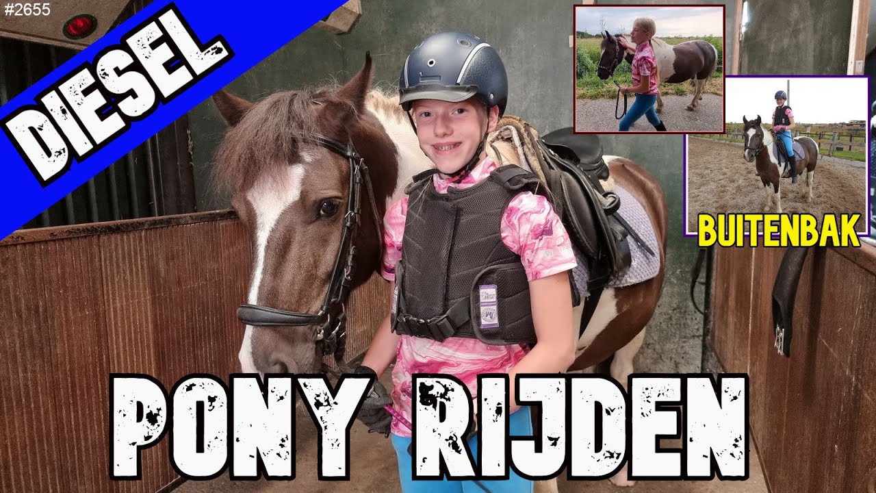 PONY rijden in de BUITENBAK met PONY DIESEL. Hij doet zijn naam eer aan. Komt LANGZAAM op gang #2655