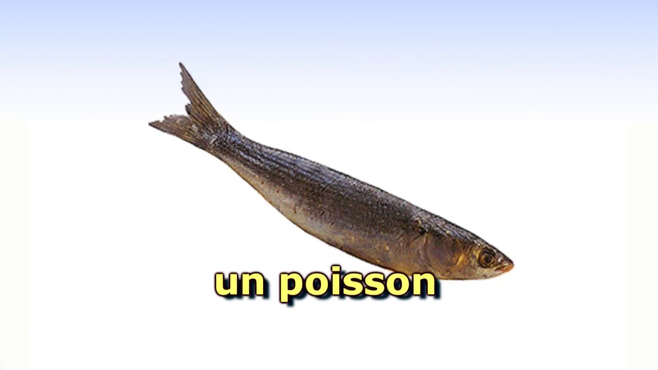 Francés: Vocabulario básico.  Comida