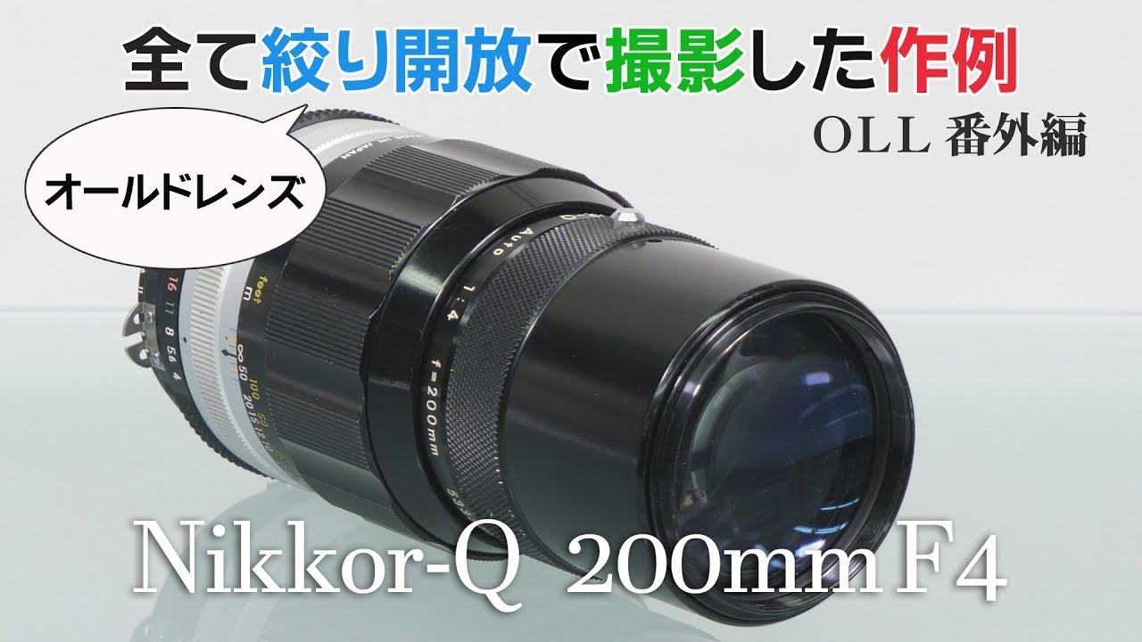 AI Nikkor-Q Auto 200mm F4（後期） 全カット絞り開放作例【OLL Out Takes】