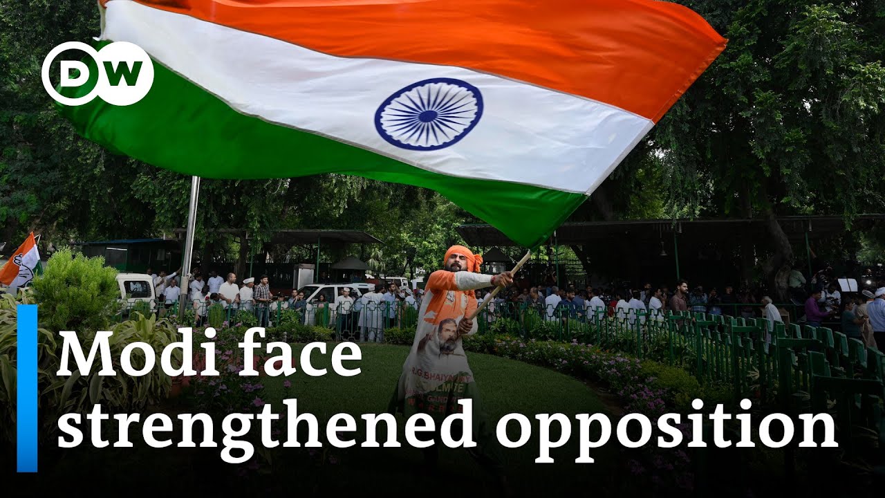 Was opposition leader Gandhi&rsquo;s defamation case politically motivated? | DW News