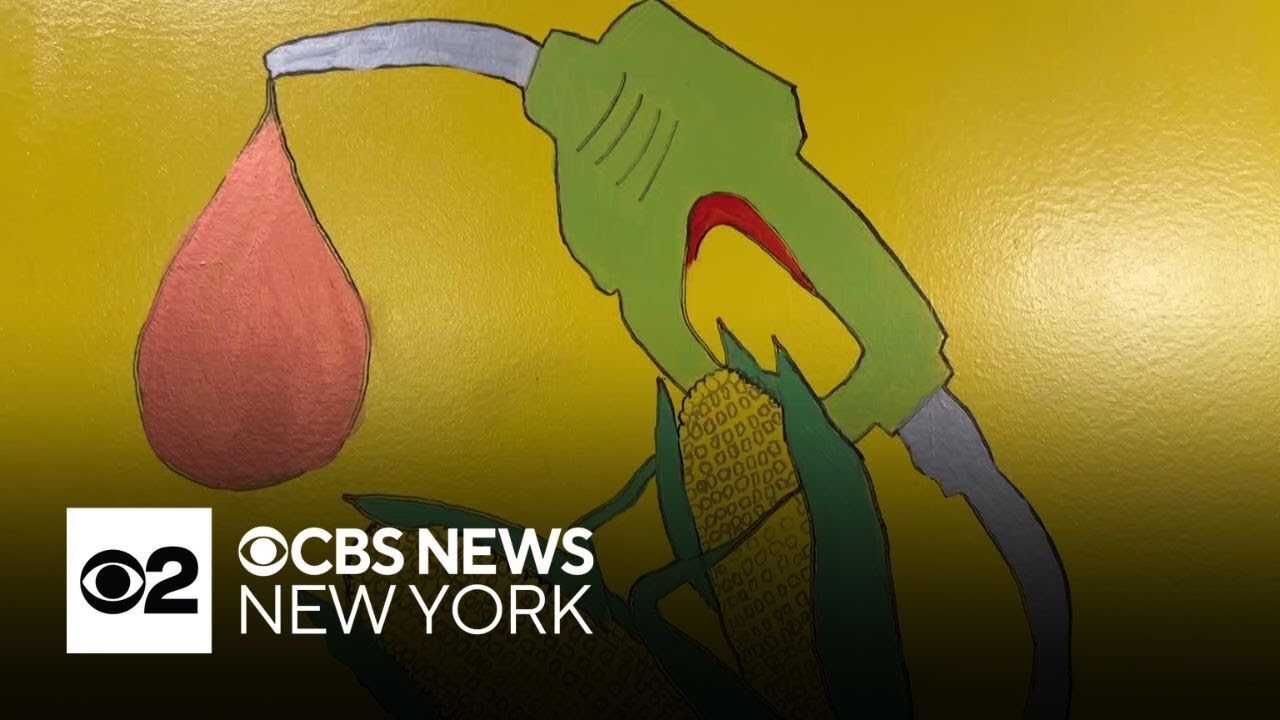 Brooklyn school is first in NYC to heat its building entirely with vegetable oil biofuel