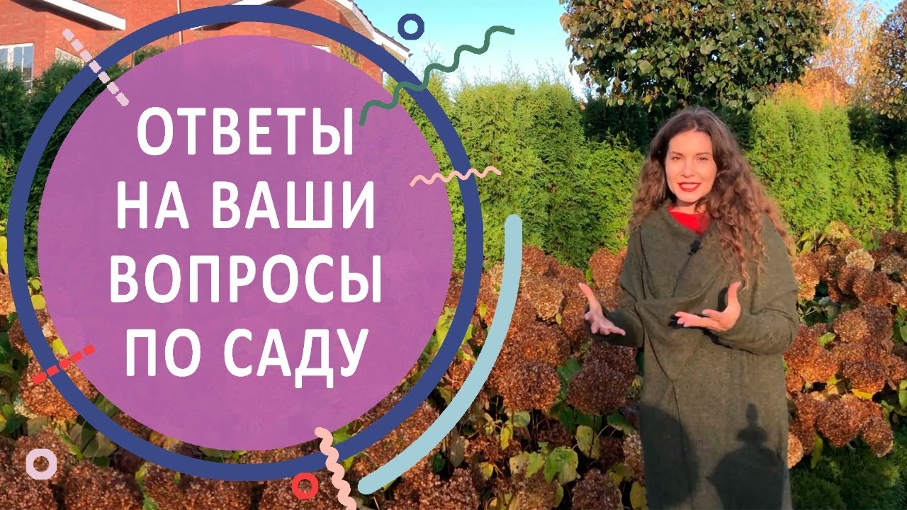 Ответы на вопросы по саду с гортензиями в КП 