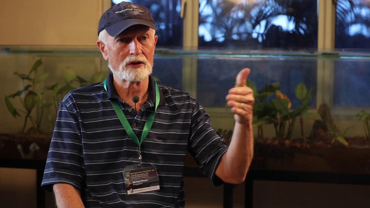 Can cells feel forces - Mike Sheetz, with TLOS at ICCB 2018