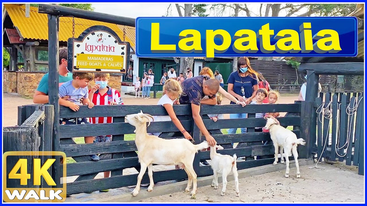 【4K】WALK Lapataia Farm PUNTA del ESTE Uruguay 4k video UY