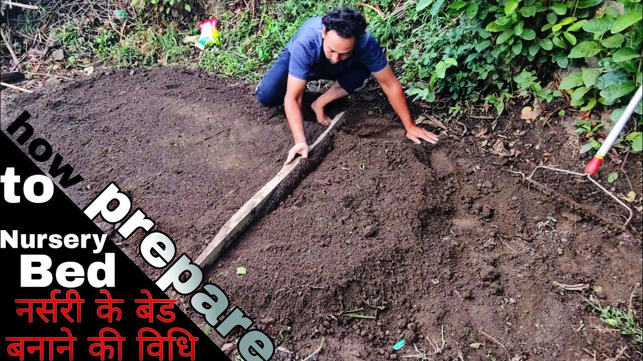nursery bed prepration | नर्सरी के बेड की तयारी | nursery kaise dale | PraveenThakur