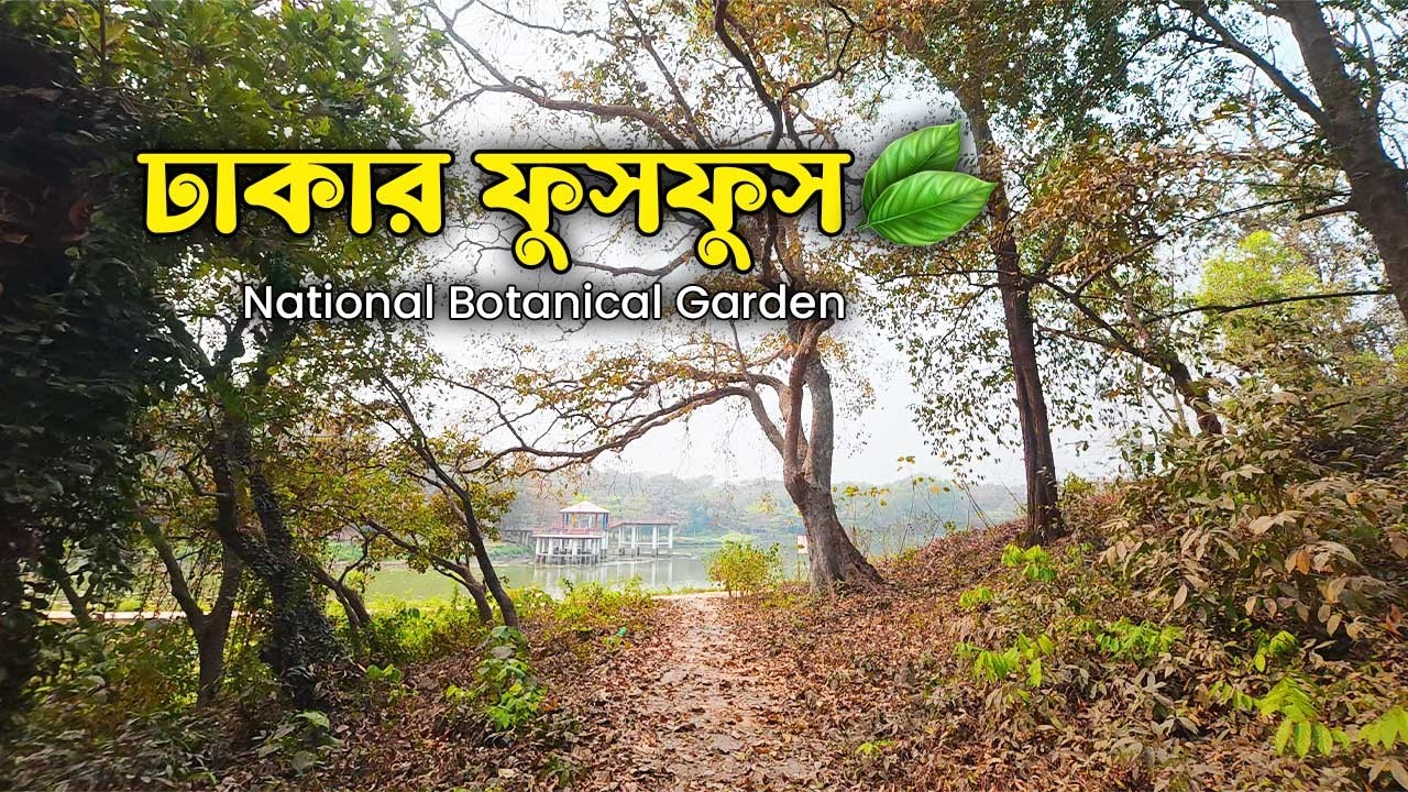 ঢাকার মধ্যে সবুজ বন | National Botanical Garden Mirpur | জাতীয় উদ্ভিদ উদ্যান  বাংলাদেশ