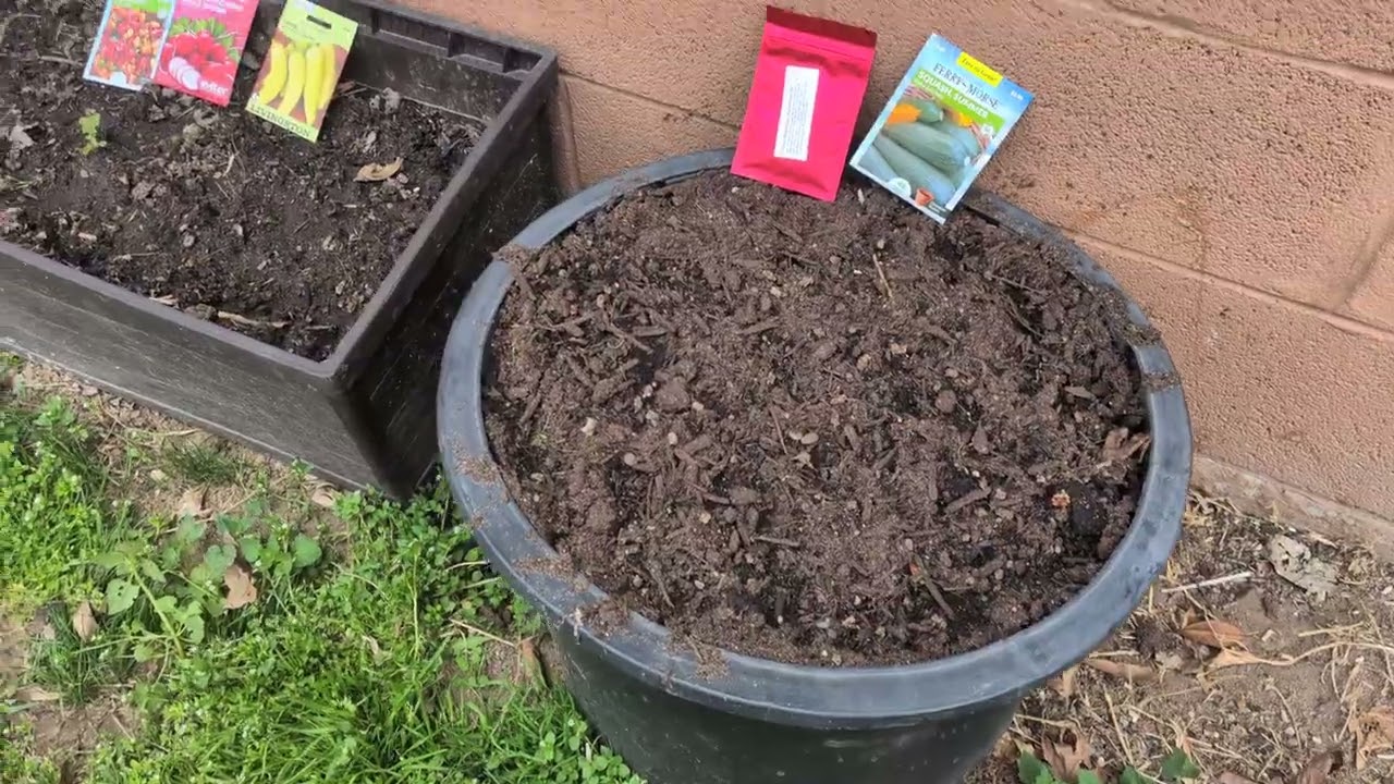 Semilla gratis para tus vejetales