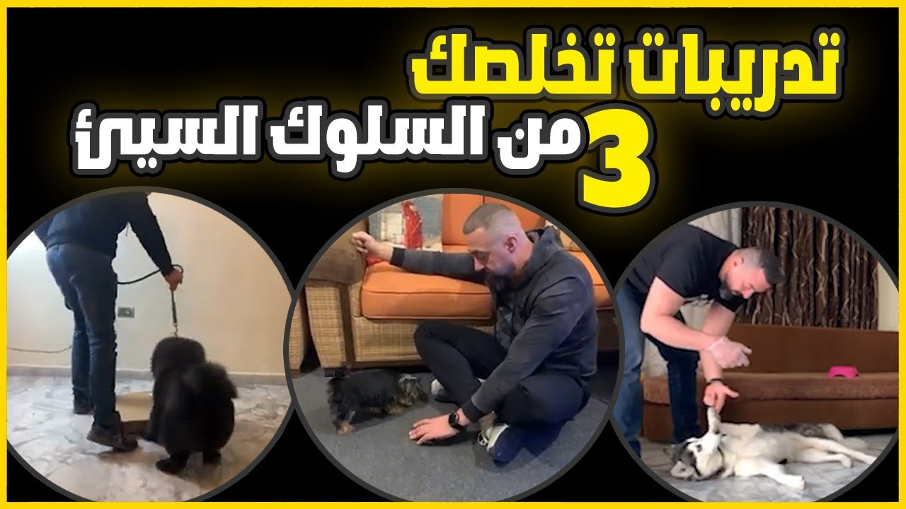 3 تدريبات تخلصك من السلوك السيئ