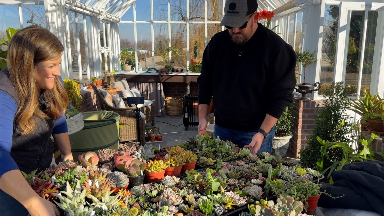 Aaron Ordered a Ton of Succulents! Unboxing All the Beauties! 🥰🌵🙌 // Garden Answer
