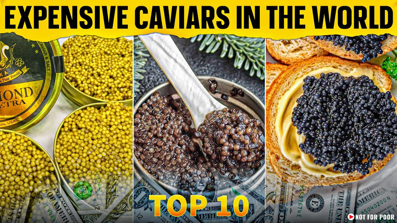Top 10 Most Expensive Caviars in the World | Why is Caviar so Expensive?