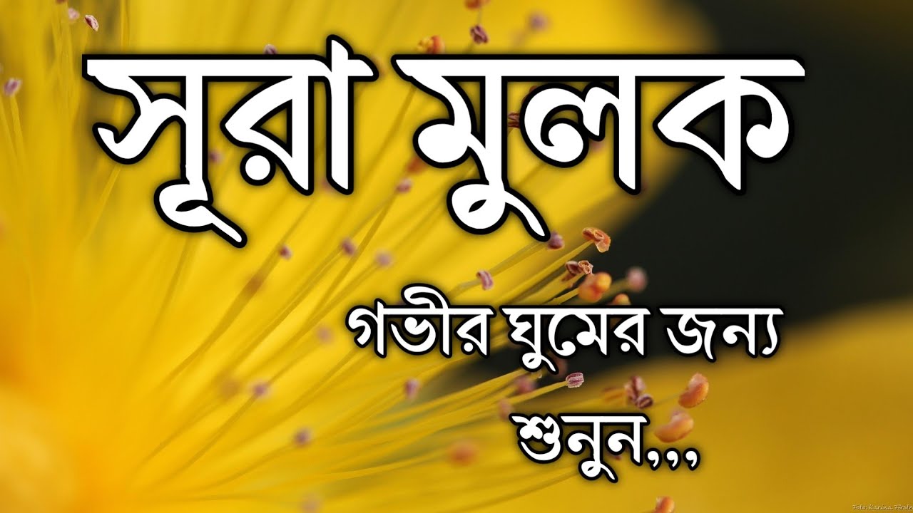 গভীর ঘুমের জন্য শুনুন সূরা আল মুলক খুব সুন্দর তেলাওয়াত। Surah mulk /Shamsul Haque