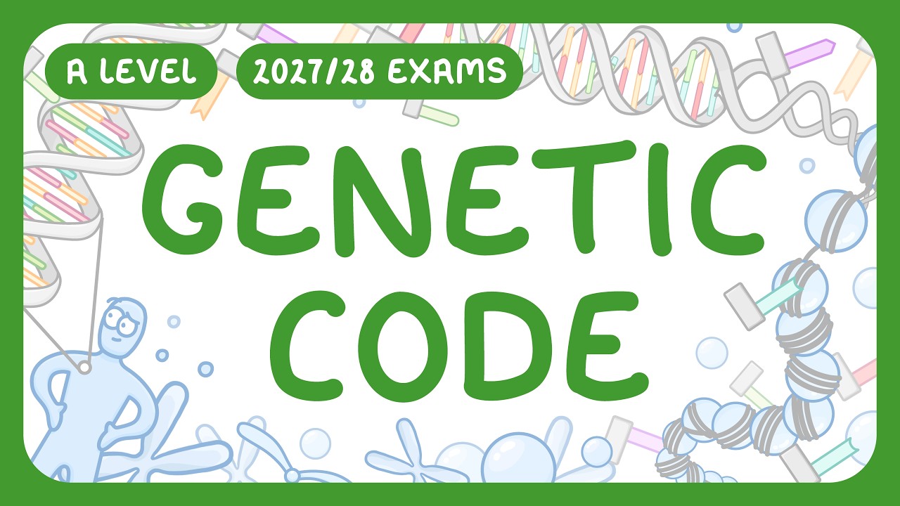 Biologie de niveau A - Code g&eacute;n&eacute;tique | Comment l'ADN s'organise en chromosomes | Tableaux des co...