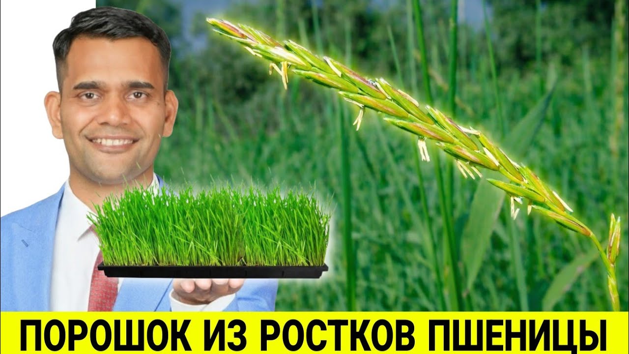 ЭТО ЗАЩИТИТ ВАС ОТ ОНКОЛОГИИ!