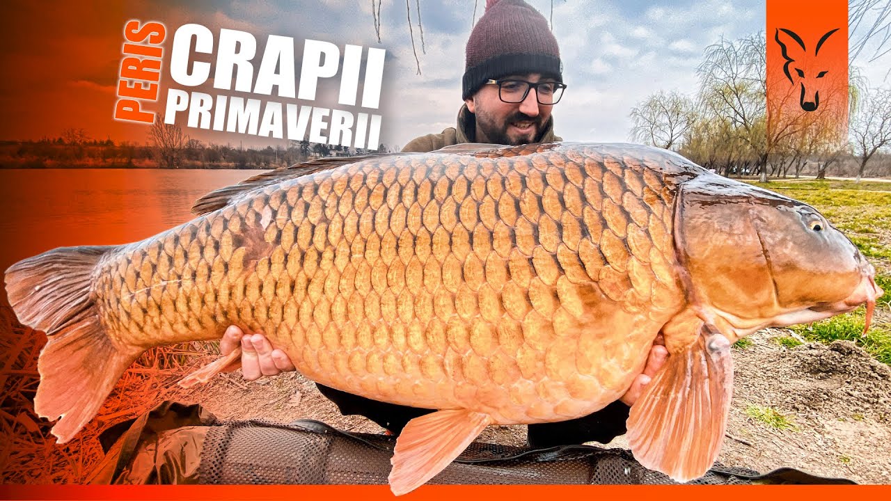 Pescuit la crap primavara, cu portii mici de nada - lacul Hermes Peris