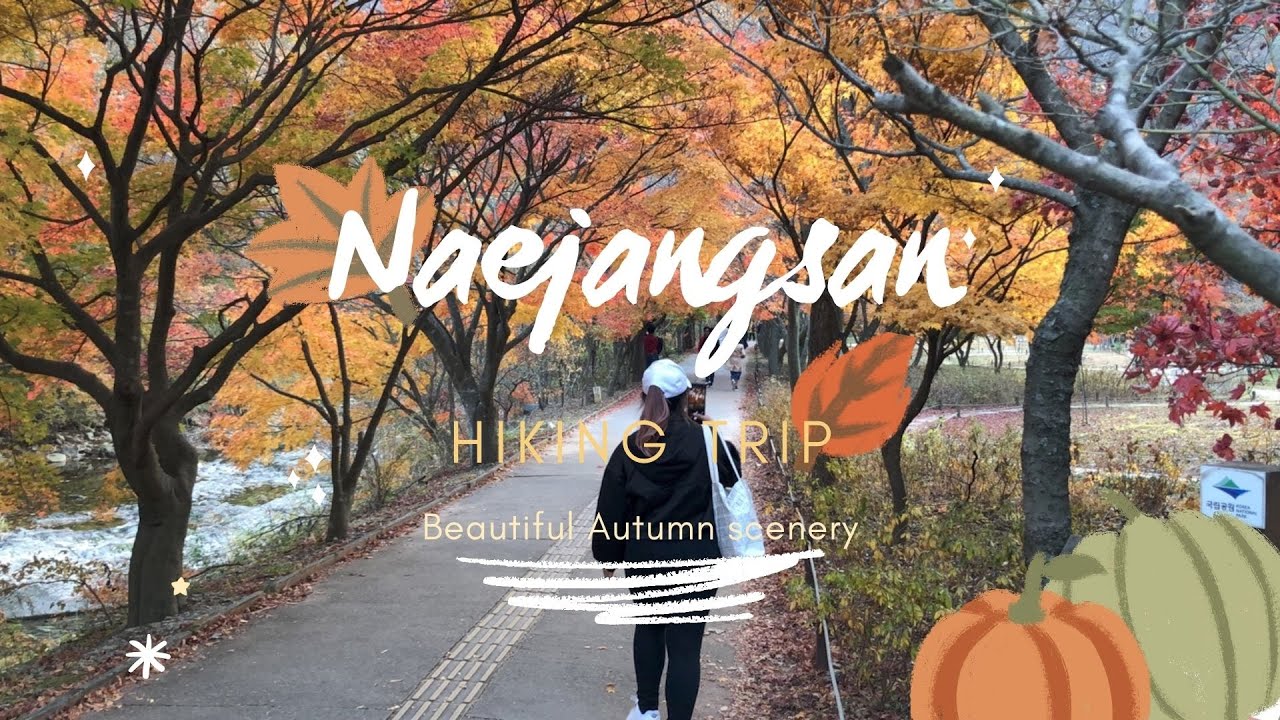 Naejangsan Hiking Trip  / 내장산국립공원
