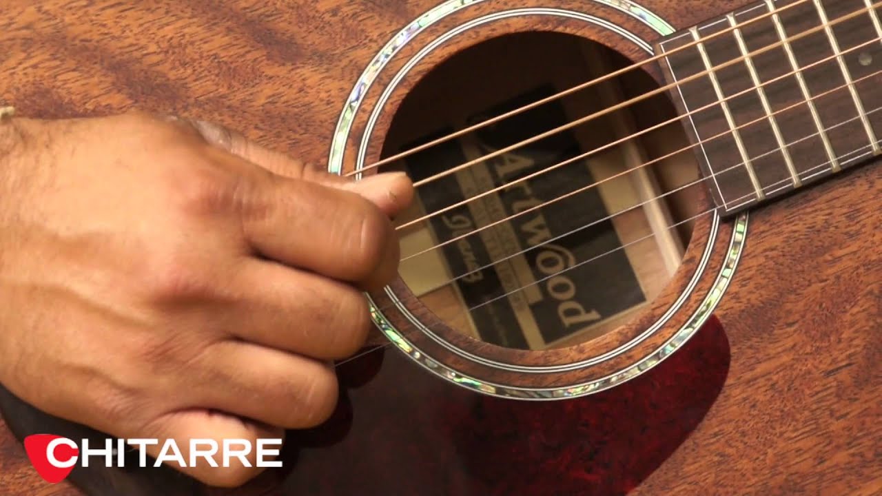 Ibanez AC2040 - di Edoardo Martinez