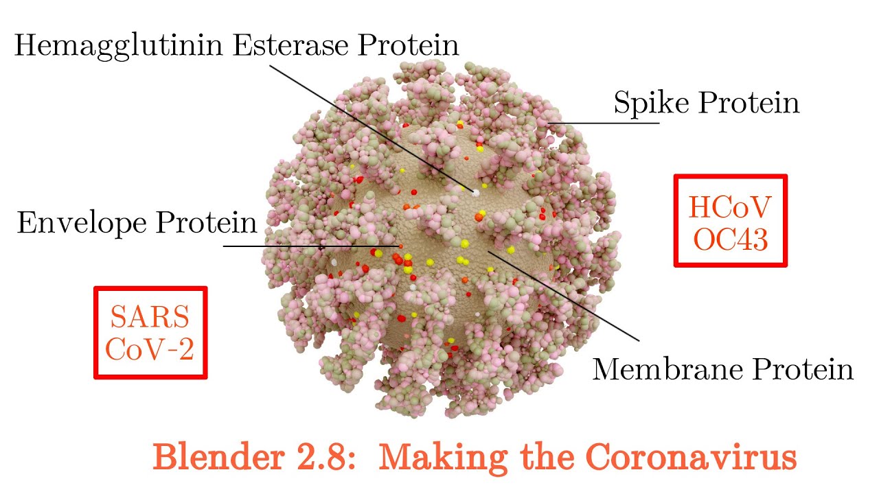 Blender 2.8 Tutorial Making the Coronavirus Covid-19