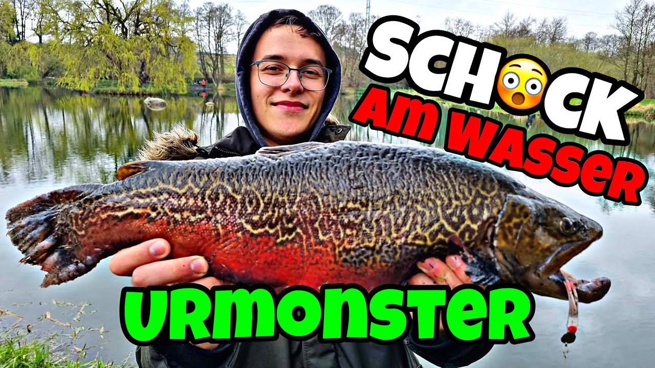 Wir Schockierten wieder mal alle Angler am Wasser.