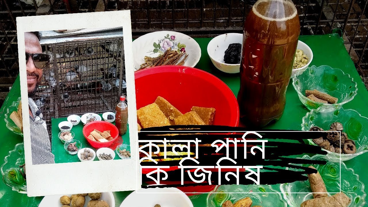 কবুতরের কালা পানি কিভাবে বানাবেন