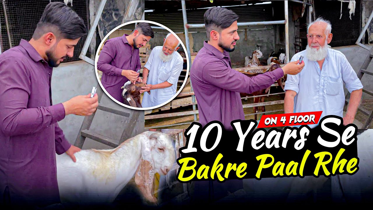 On 4 Floor 😦| 10 Saal se Bakre Paal Rhe | Rawalpindi
