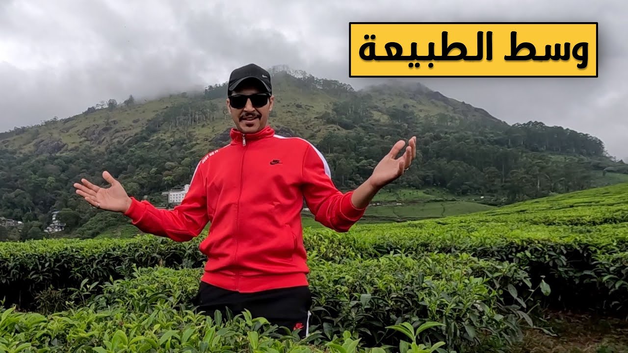 جمال الطبيعة وبرودة الأجواء في قمم مونار كيرلا الهند