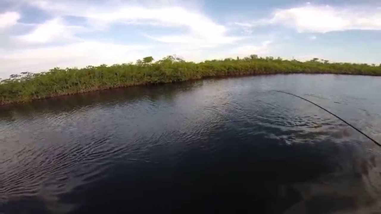 P&ecirc;che du Tarpon &agrave; Cuba (mars 2014)
