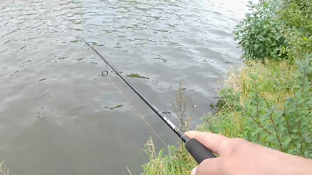 Baars vissen in het Twentekanaal