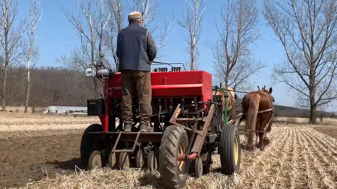 Orchard Hill - Horse-powered Organic Farm Part 1 - Rotational Grazing, Potatoes, No-Til Vegetables