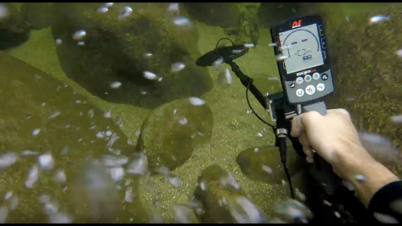 Minelab Equinox 800 water detecting (COINS AND RINGS)