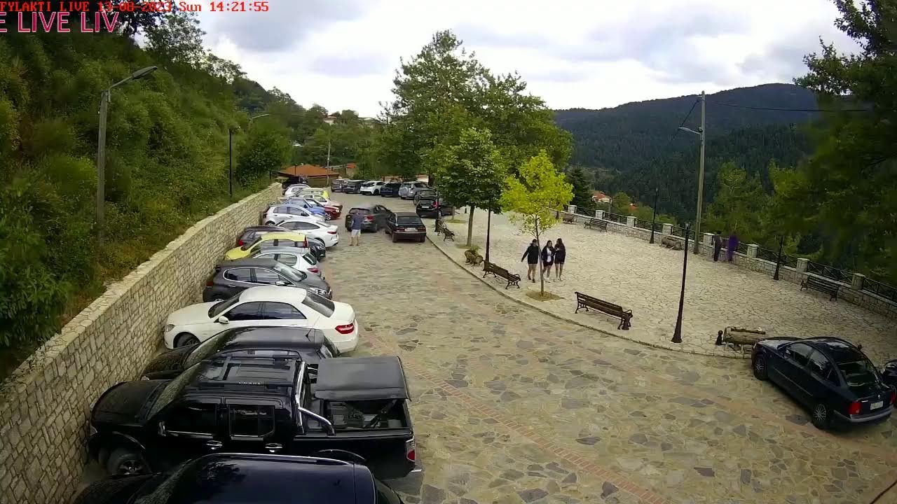 Fylakti Karditsas Live Stream