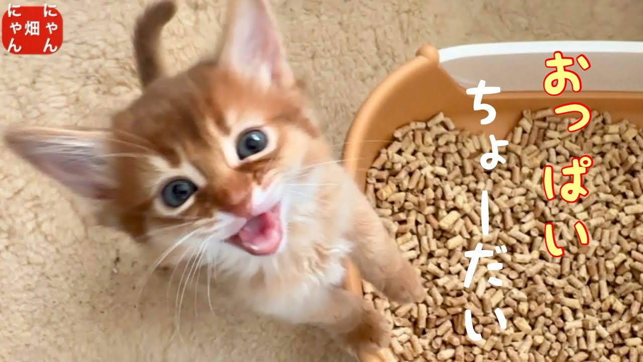 おっぱい…吸わして
