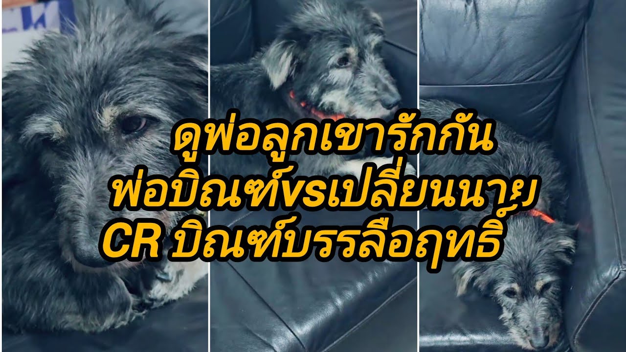 มาดูพ่อลูกเขารักกันพ่อบิณฑ์น้องเปลี่ยนนายCR บิณฑ์บรรลือฤทธิ@อาภรณ์พาเพลิน 