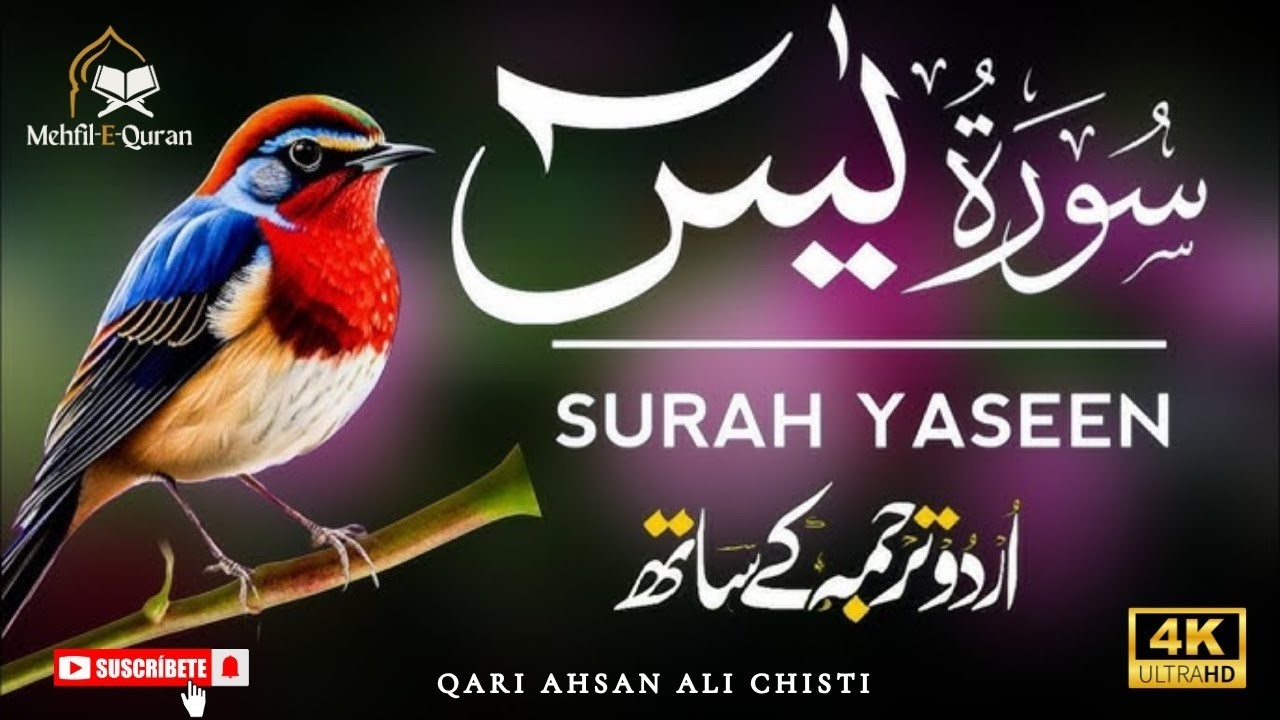 #tilawatequranepak, #beautifultilawatequranepak, #qurantilawat, #tilawatquran