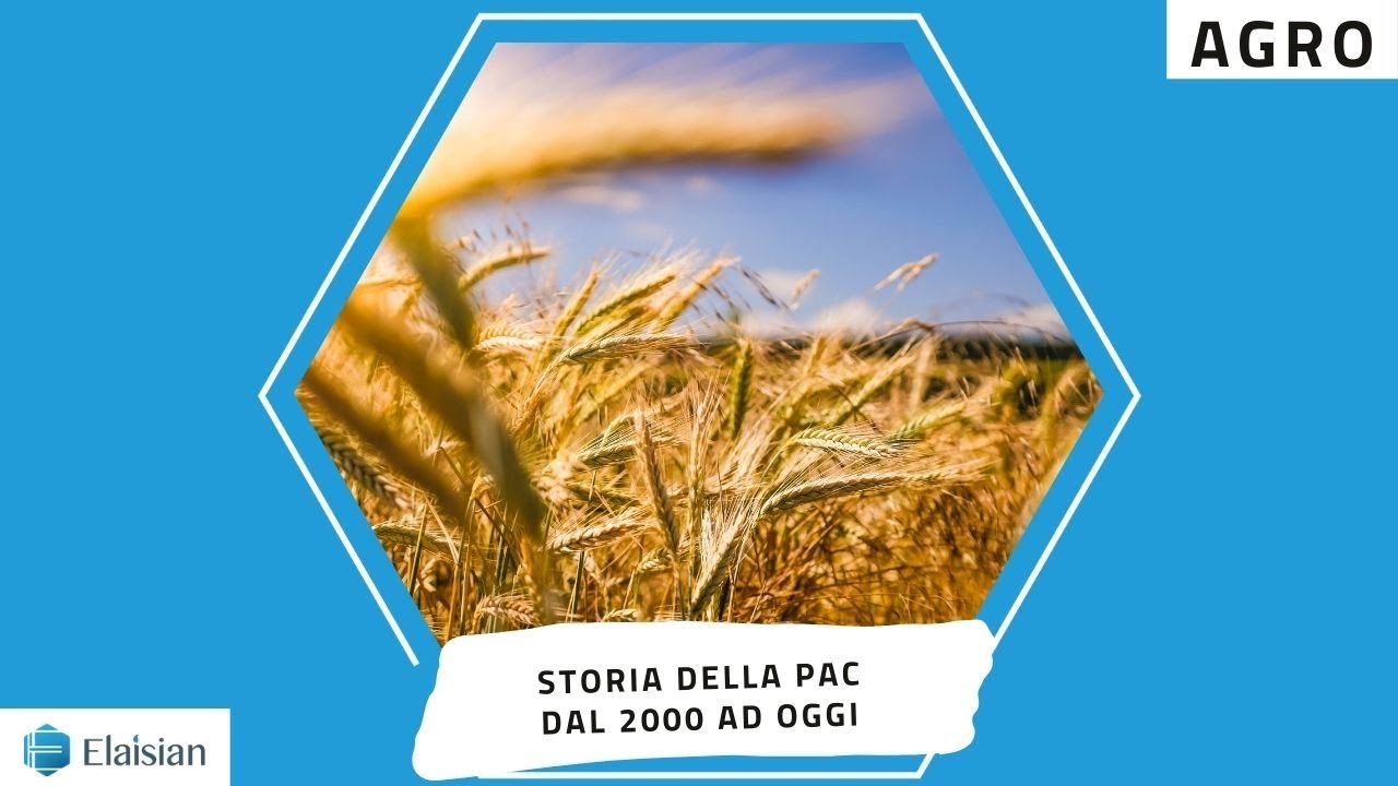 Storia della PAC, dal 2000 ad oggi