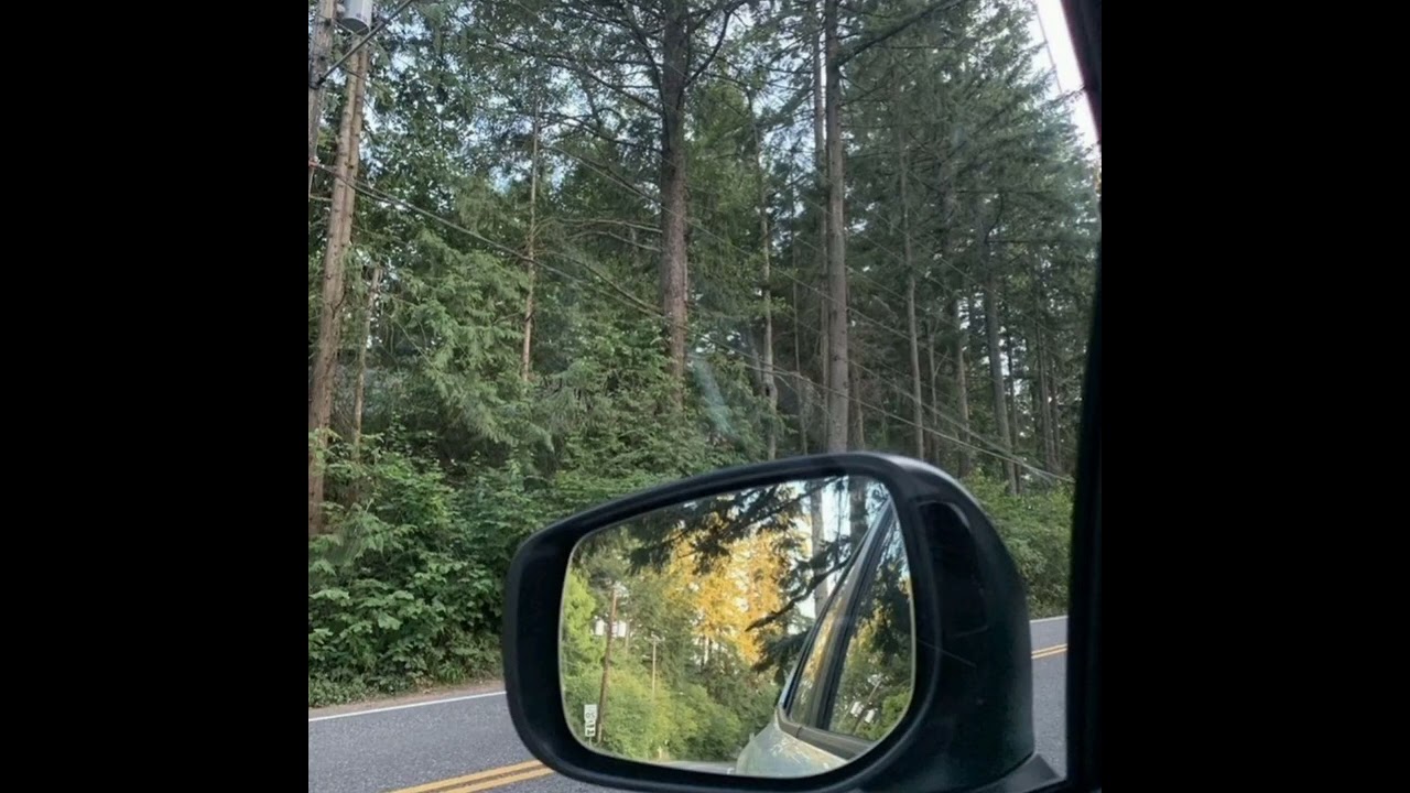 REARVIEW (LEOLEO)