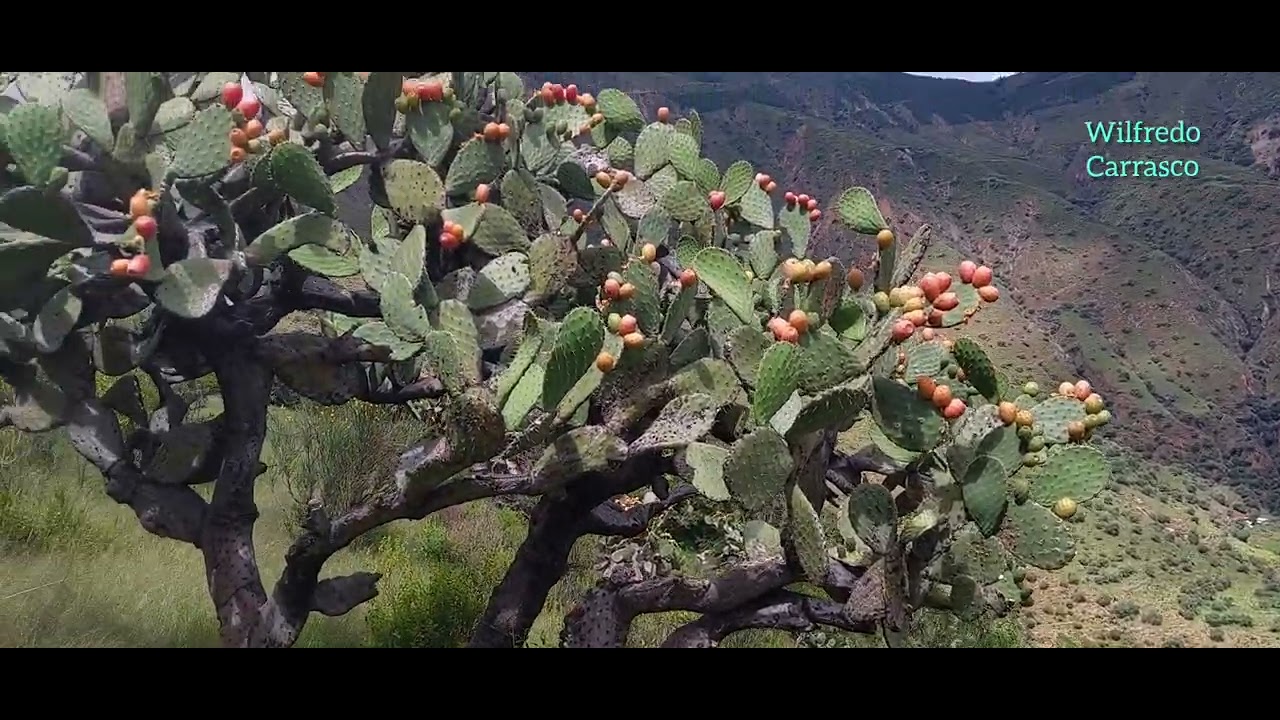VILLA CHIARA Y SUS PAISAJES 2025 Andahuaylas Apurímac