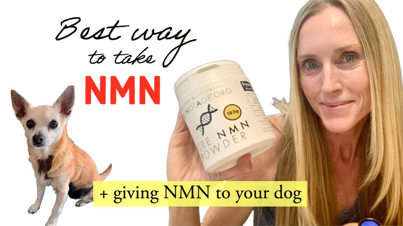 HOW & WHEN to take NMN/NR - Is Liposomal/Sublingual NMN better? | + How I give NMN to my dog
