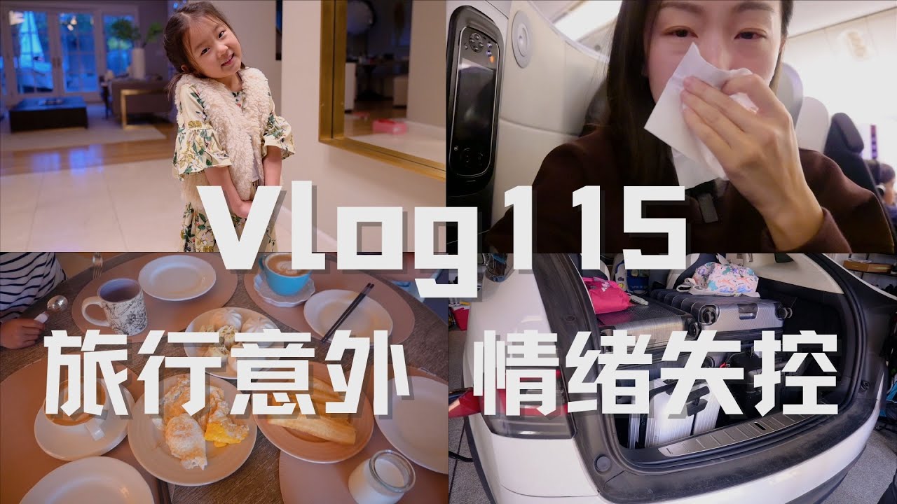 【Anna阿姨 Vlog 115】Designer童装开箱 优衣库U第一印象 做饭 准备去巴黎 机场发生意外 我崩了...