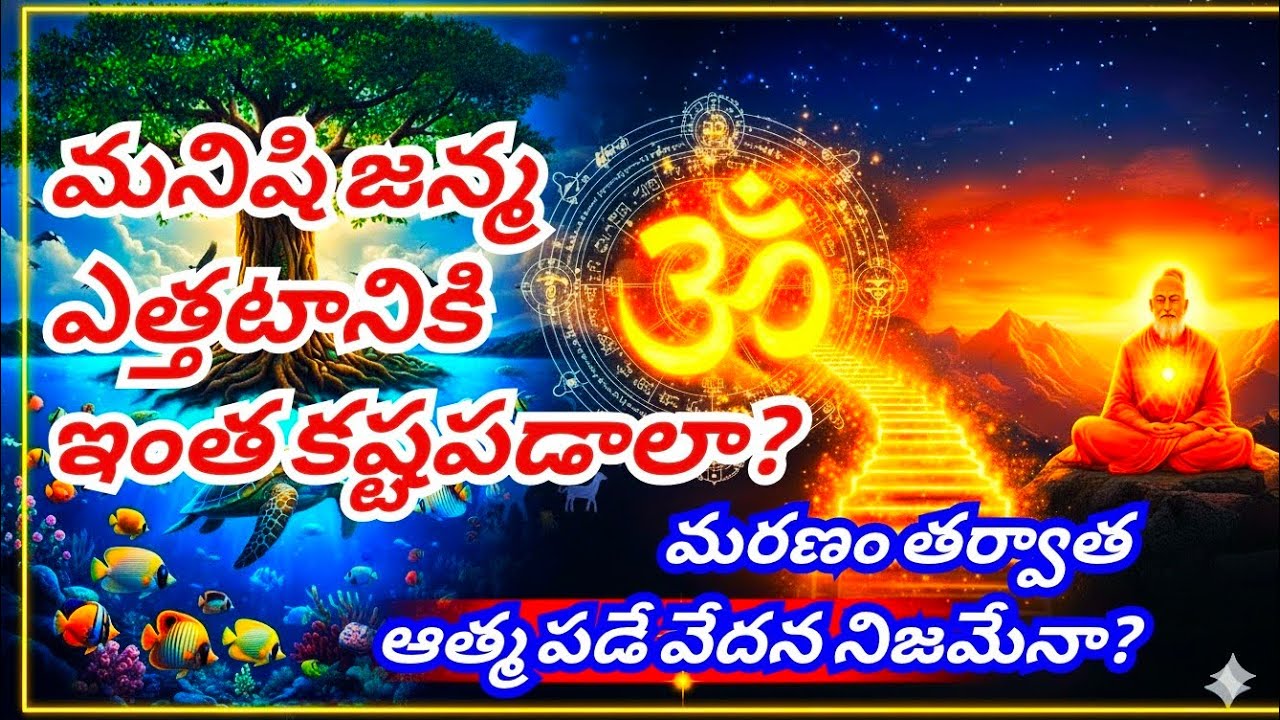 గరుడపురాణం చెప్పే 84 లక్షల జీవరాశుల ప్రయాణం.. మోక్షం ఎలా వస్తుంది? (Must Watch)