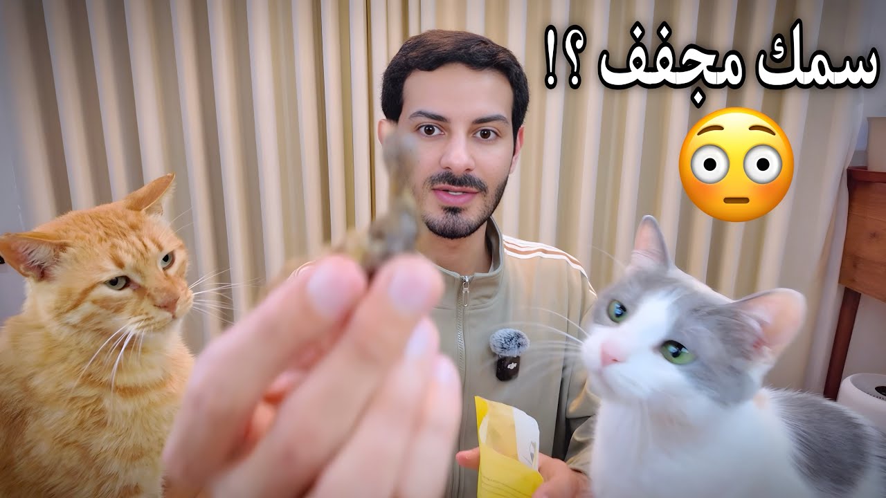 هدايا المتابعين لقططي مشمش وخوخه 😍❤️