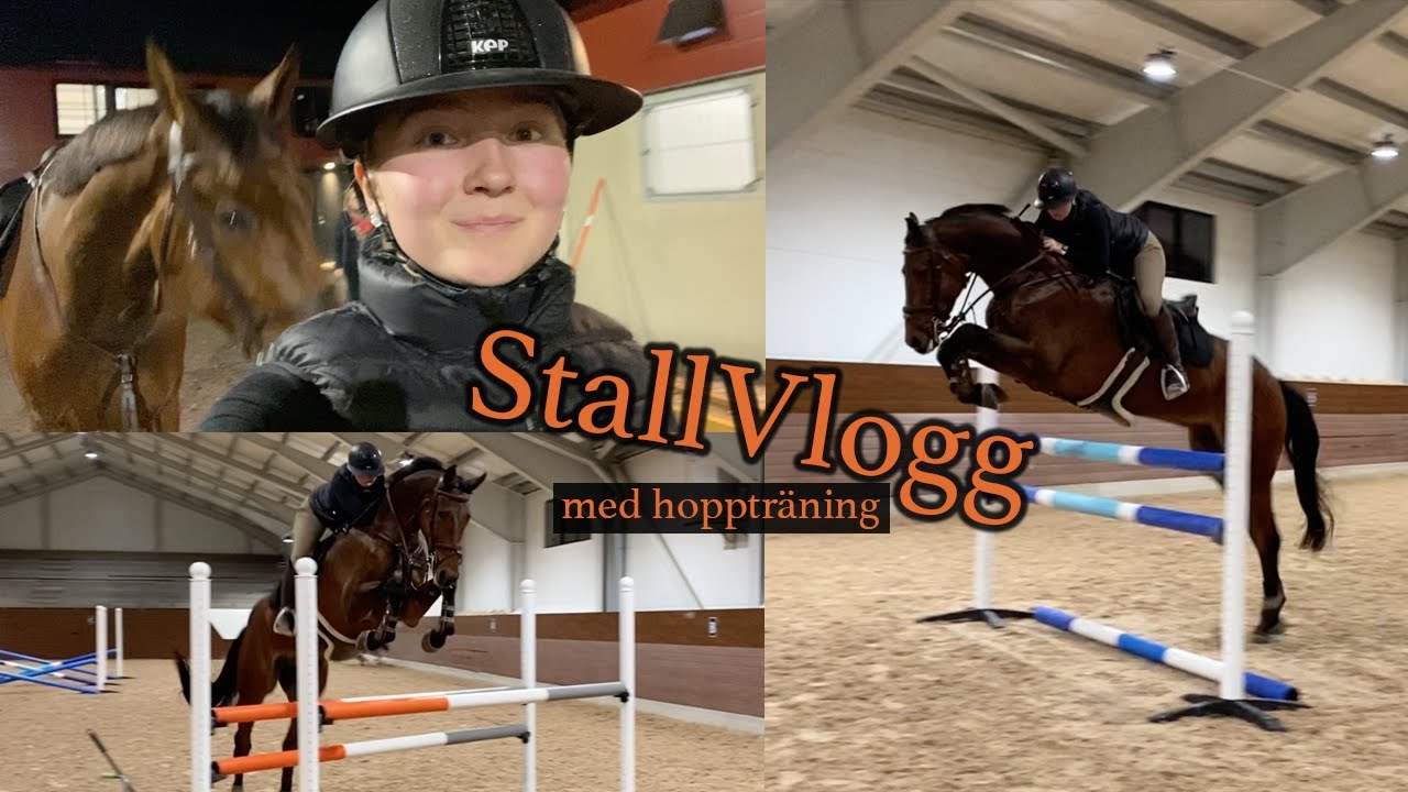 Stallfix, hoppträning och voice over!