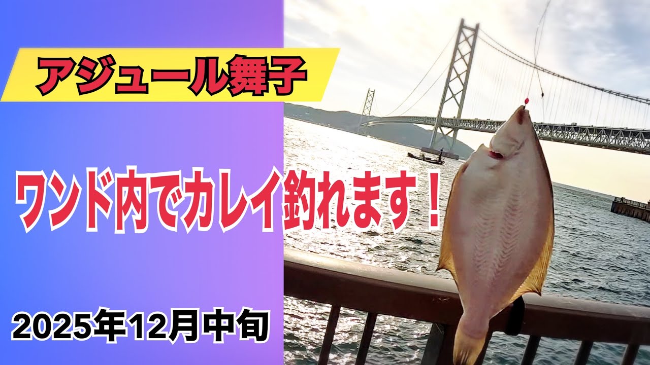【アジュール舞子】冬はカレイ釣り！手軽にワンド内で釣れます！初心者でも大物が狙える