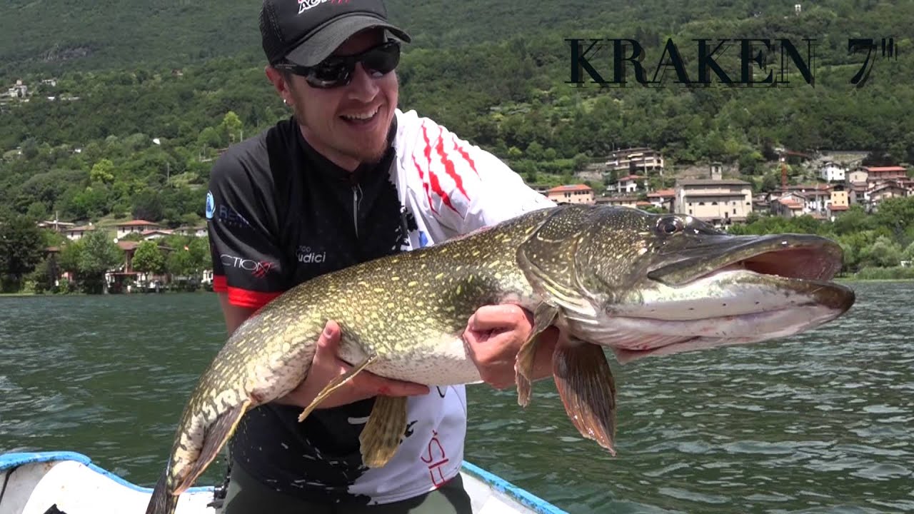 Kraken 7